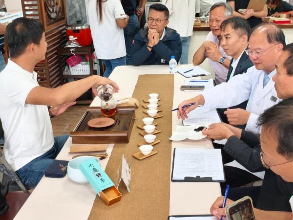 「茶香廝守」　2025高雄山茶風味輪與山茶評鑑隆重登場1